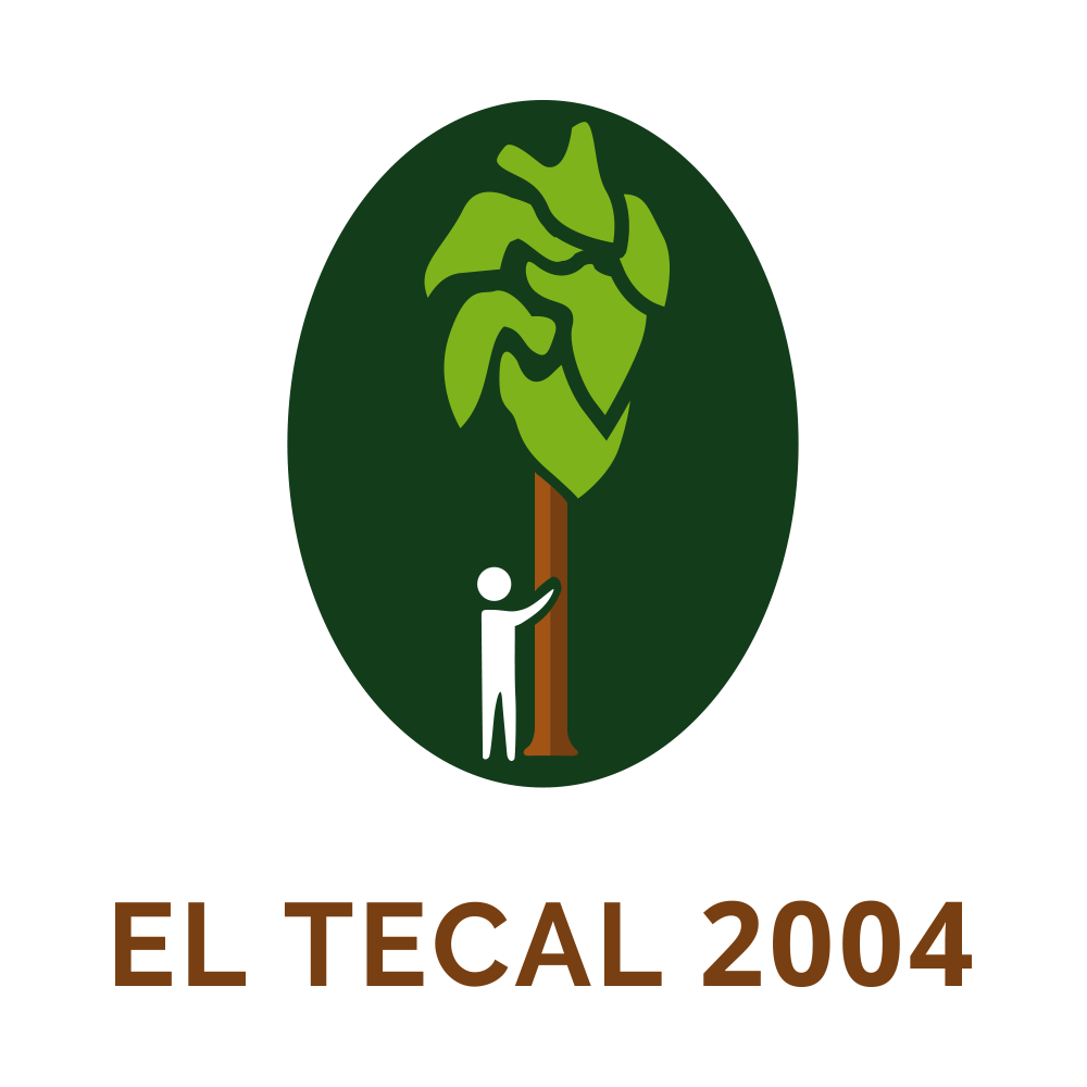 El Tecal 2004 | GRUPO SIEMBRA